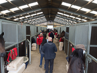 FB161021-110 - Fergal O'Brien Stable Visit